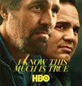 Nonton Serial I Know This Much Is True Season 1 Subtitle Indonesia Poster