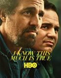 Nonton Serial I Know This Much Is True Season 1 Subtitle Indonesia Poster