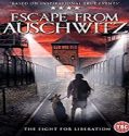 Streaming Film The Escape from Auschwitz 2020 Subtitle Indonesia Poster
