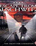 Streaming Film The Escape from Auschwitz 2020 Subtitle Indonesia Poster