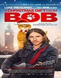 Nonton Movie A Christmas Gift from Bob 2020 Subtitle Indonesia Poster