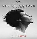 Nonton Movie Shawn Mendes In Wonder 2020 Subtitle Indonesia Poster
