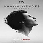 Nonton Movie Shawn Mendes In Wonder 2020 Subtitle Indonesia Online kebioskop21