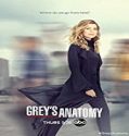 Nonton Serial Greys Anatomy Season 17 Subtitle Indonesia Poster