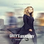Nonton Serial Greys Anatomy Season 17 Subtitle Indonesia Online kebioskop21