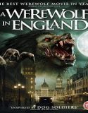 Nonton Film A Werewolf in England 2020 Subtitle Indonesia Poster