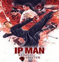 Nonton Movie Ip Man Kung Fu Master 2019 Subtitle Indonesa Poster