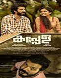 Nonton Movie Kappela 2020 Subtitle Indonesia Poster
