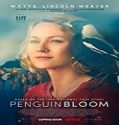 Nonton Film Penguin Bloom 2020 Subtitle Indonesia Poster