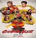 Nonton Serial Cobra Kai Season 3 Subtitle Indonesia Poster
