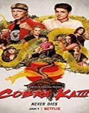 Nonton Serial Cobra Kai Season 3 Subtitle Indonesia Poster