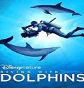 Streaming Film Diving with Dolphins 2020 Subtitle Indonesia Poster