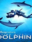 Streaming Film Diving with Dolphins 2020 Subtitle Indonesia Poster