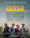 Nonton Streaming One Night in Miami 2020 Subtitle Indonesia Poster