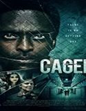 Streaming Film Caged 2021 Subtitle Indonesia Poster