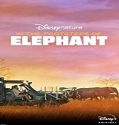 Streaming Film In the Foot steps of Elephant 2020 Subtitle Indonesia Poster