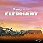 Streaming Film In the Foot steps of Elephant 2020 Subtitle Indonesia Online kebioskop21