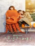 Nonton Drama Korea Hello Me Subtitle Indonesia Poster