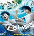 Nonton Streaming Grand Blue 2020 Subtitle Indonesia Poster
