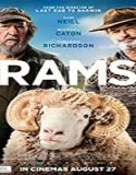 Nonton Streaming Rams 2020 Subtitle Indonesia Poster