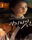 Nonton Drama Must You Go 2021 Subtitle Indonesia Poster