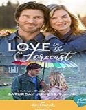 Streaming Film Love in the Forecast 2020 Subtitle Indonesia Poster