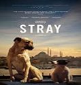 Streaming Film Stray 2020 Subtitle Indonesia Poster