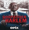 Nonton Serial Godfather of Harlem Season 2 Subtitle Indonesia Poster