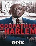 Nonton Serial Godfather of Harlem Season 2 Subtitle Indonesia Poster