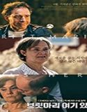 Streaming Film Britt Marie Was Here 2019 Subtitle Indonesia Poster