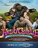 Streaming Film Hello Charlie 2021 Subtitle Indonesia Poster