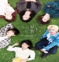 Nonton Drama At a Distance Spring is Green Subtitle Indonesia Poster
