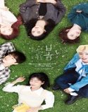 Nonton Drama At a Distance Spring is Green Subtitle Indonesia Poster