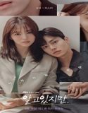 Nonton Drama Nevertheless 2021 Subtitle Indonesia Poster