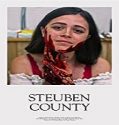 Nonton Streaming Steuben County 2020 Subtitle Indonesia Poster