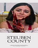 Nonton Streaming Steuben County 2020 Subtitle Indonesia Poster