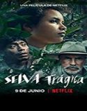 Nonton Streaming Tragic Jungle 2020 Subtitle Indonesia Poster