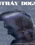 Nonton Film Stray Dogs 2020 Subtitle Indonesia Poster