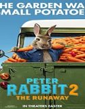 Nonton Movie Peter Rabbit 2 The Runaway 2021 Subtitle Indonesia Poster
