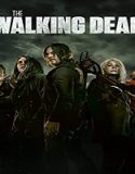 Nonton Serial The Walking Dead Season 11 Subtitle Indonesia Poster