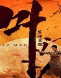 Nonton Film Ip Man The Awakening Master 2021 Subtitle Indonesia Poster