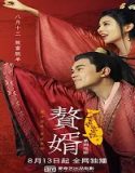 Nonton Film My Heroic Husband 2021 Subtitle Indonesia Poster