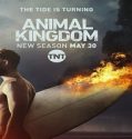 Nonton Serial Animal Kingdom Season 2 Subtitle Indonesia Poster