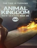 Nonton Serial Animal Kingdom Season 2 Subtitle Indonesia Poster
