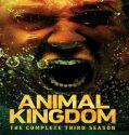 Nonton Serial Animal Kingdom Season 3 Subtitle Indonesia Poster