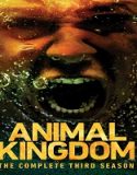 Nonton Serial Animal Kingdom Season 3 Subtitle Indonesia Poster