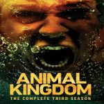 Nonton Serial Animal Kingdom Season 3 Subtitle Indonesia Online kebioskop21