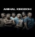 Nonton Serial Animal Kingdom Season 5 Subtitle Indonesia Poster