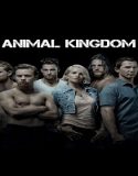 Nonton Serial Animal Kingdom Season 5 Subtitle Indonesia Poster