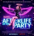Nonton Streaming After Life Of The Party 2021 Subtitle Indonesia Poster